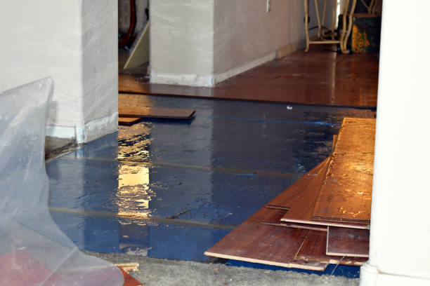 Professional Burst Pipe Cleanup technician working in Hobart, WI